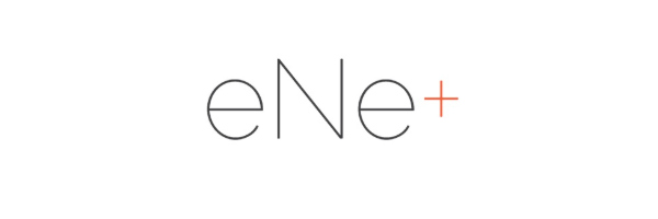 logo - eNe Consultora